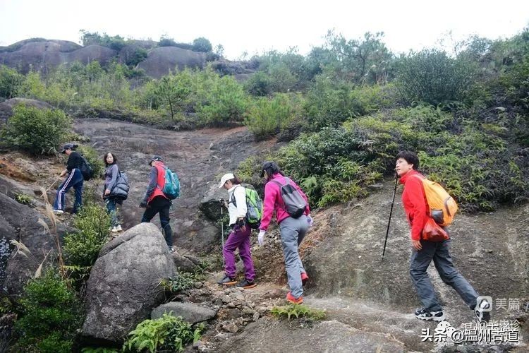 温州最高峰,温州十大最高山峰