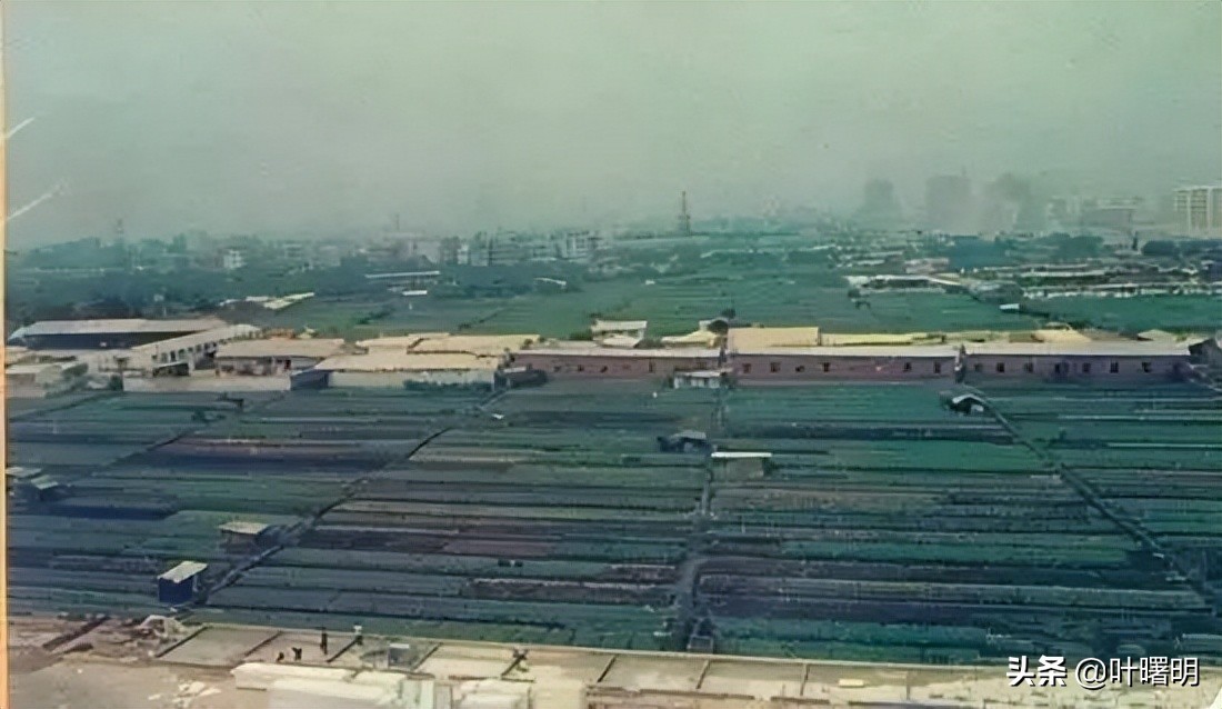 广州城中村的历史变迁,广州城中村的生活记忆