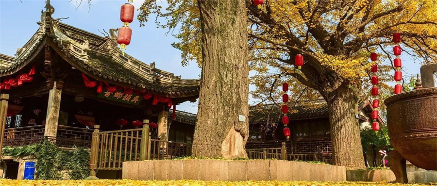 上海去西塘自由行旅游攻略,上海出发西塘乌镇跟团游