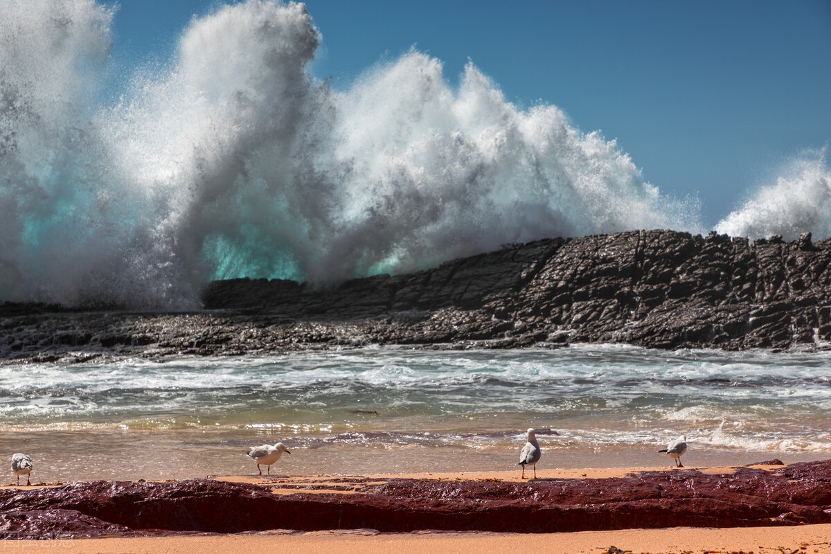 真实大海恐怖的一面,为什么会觉得大海很恐怖