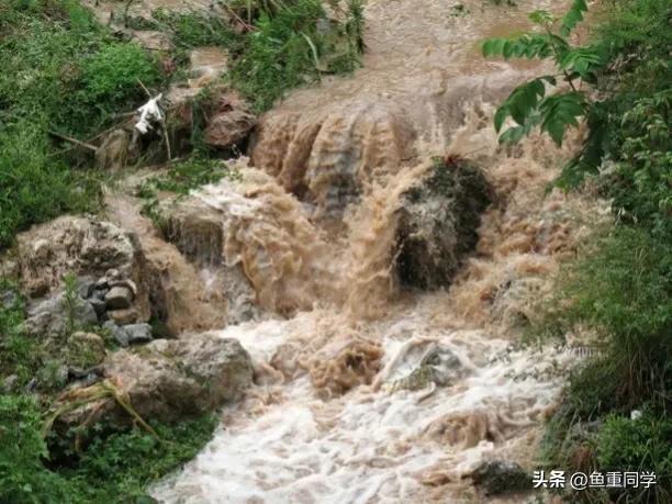 今天农历四月十五，你知道是什么日子吗？老祖宗的谚语怎么说的