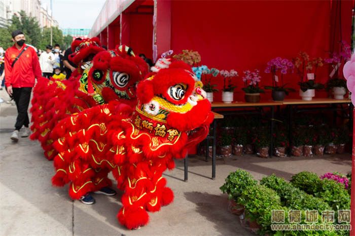 逛花街顺德,逛花街的视频