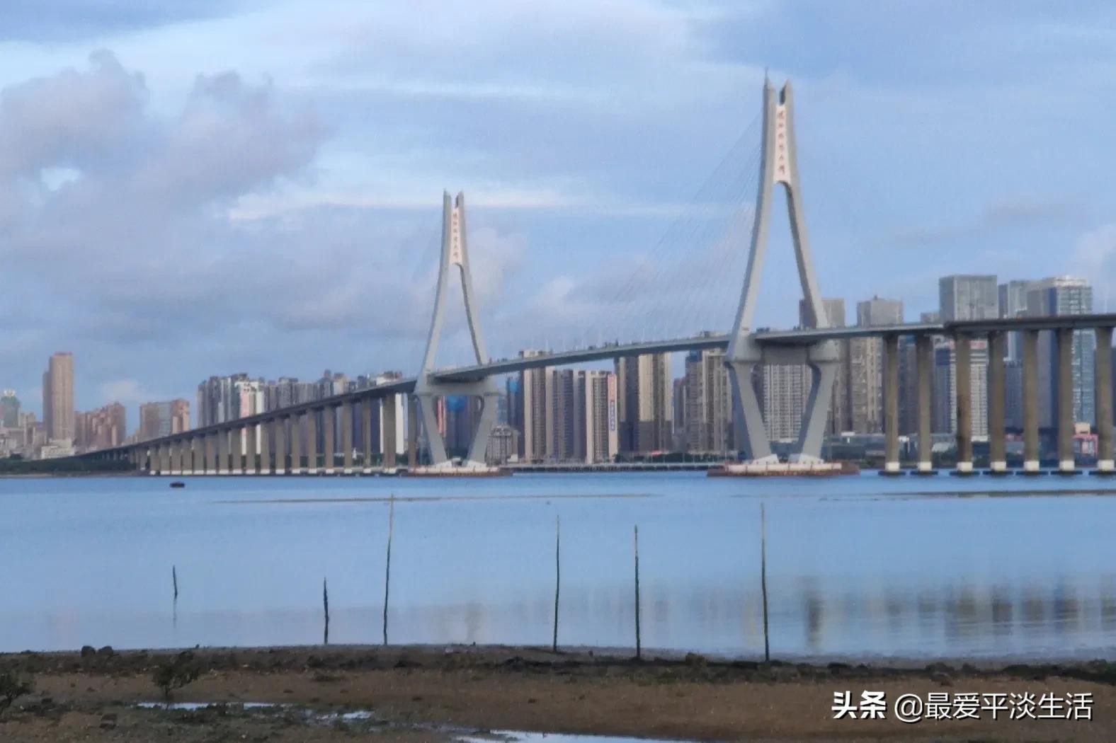 市场上卖的海鲜为什么那么贵,市场的海鲜卖不完