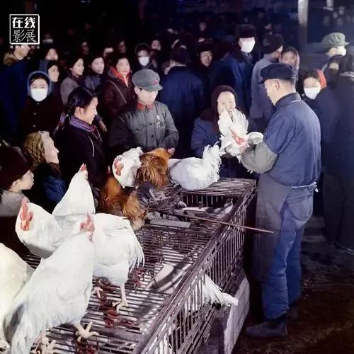 生于70年代电视剧免费观看,生于70年代全集