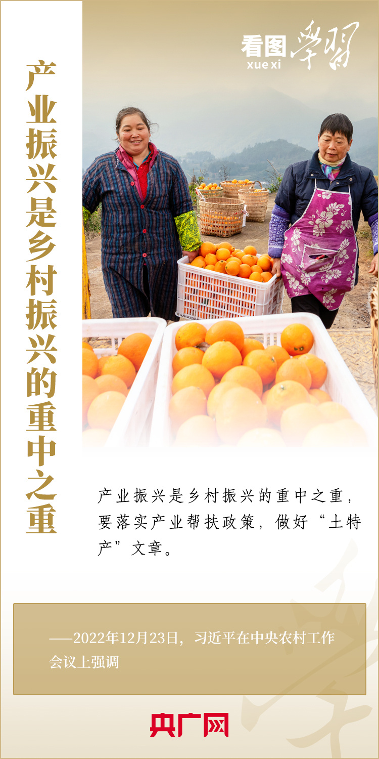 建设农业强国的必由之路,是新时代建设农业强国的重要任务