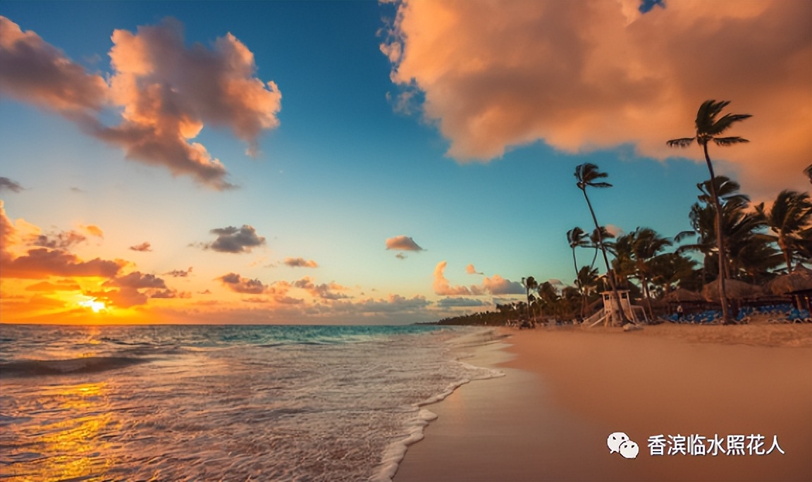 【思维导图“画”作文】王俊廷的看图写话——金色的沙滩（7）