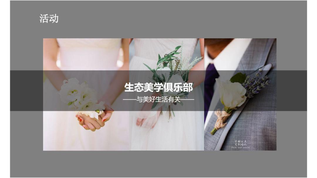 【案例】天目依云推广策略视觉提案