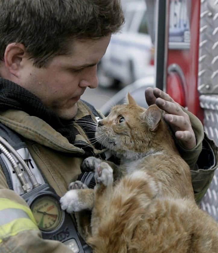 女子穿侵华日军服装摆拍新闻视频,女子身着日本侵华军装露脸