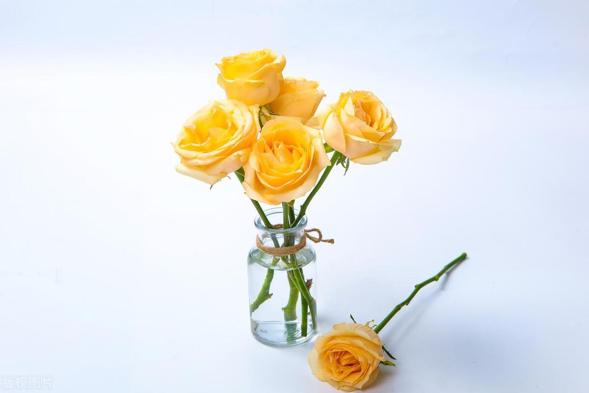 卖衣服的乐趣文案,买衣服的乐趣说说