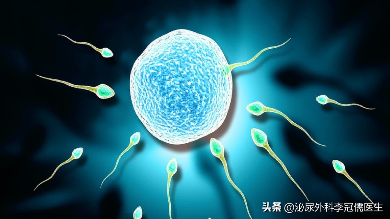 几亿个精子只有一个存活,成千上万精子