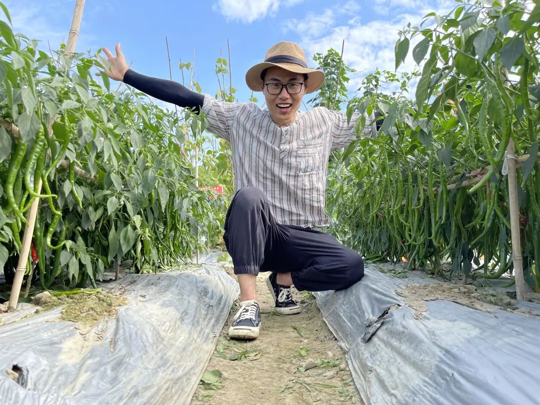全自动阳台种菜神器,阳台立体种菜神器