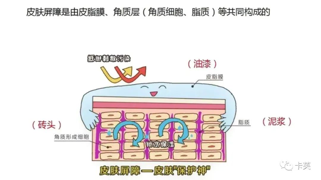 地龙多肽多效美肤霜，赋予你应有的健康、美丽与自信