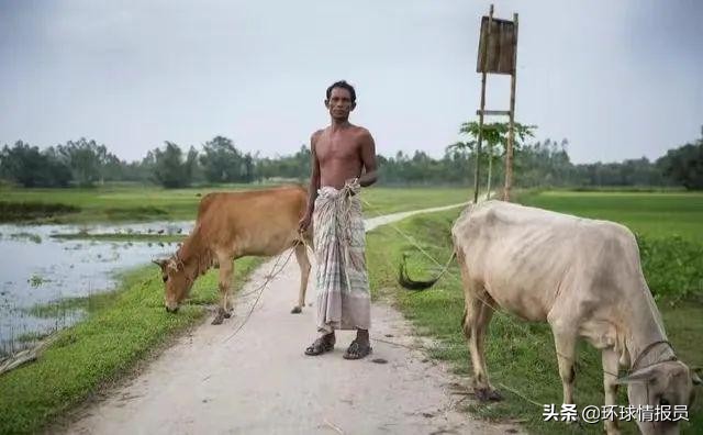 孟加拉国跟印度的飞地,印度与孟加拉国的飞地