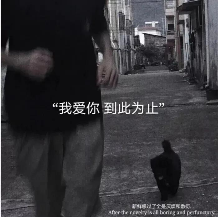 分手治愈自己的文案高级感,夫妻分手伤感25句经典文案