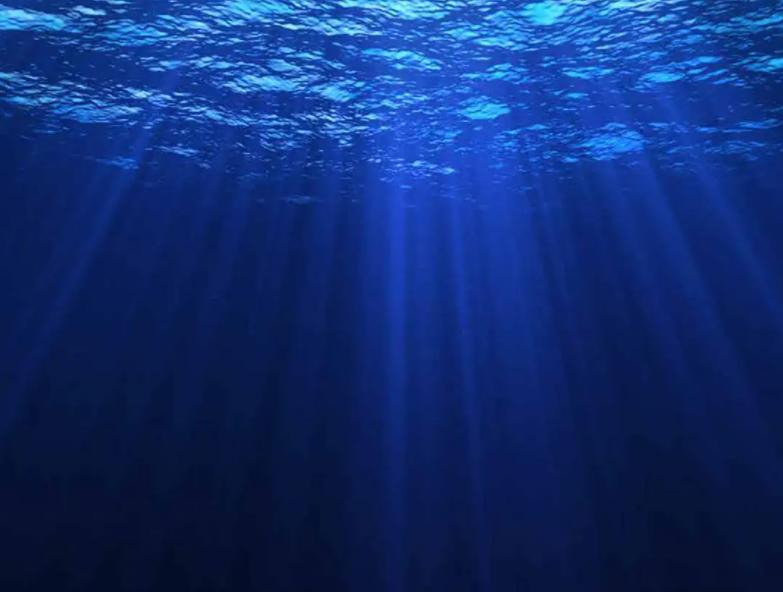 深海发现生物人类重新思考,科普深海8000米的神秘生物