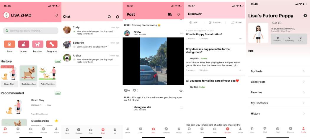 观望3年、准备7个月，我在湾区做了一个宠训App|对话创始人
