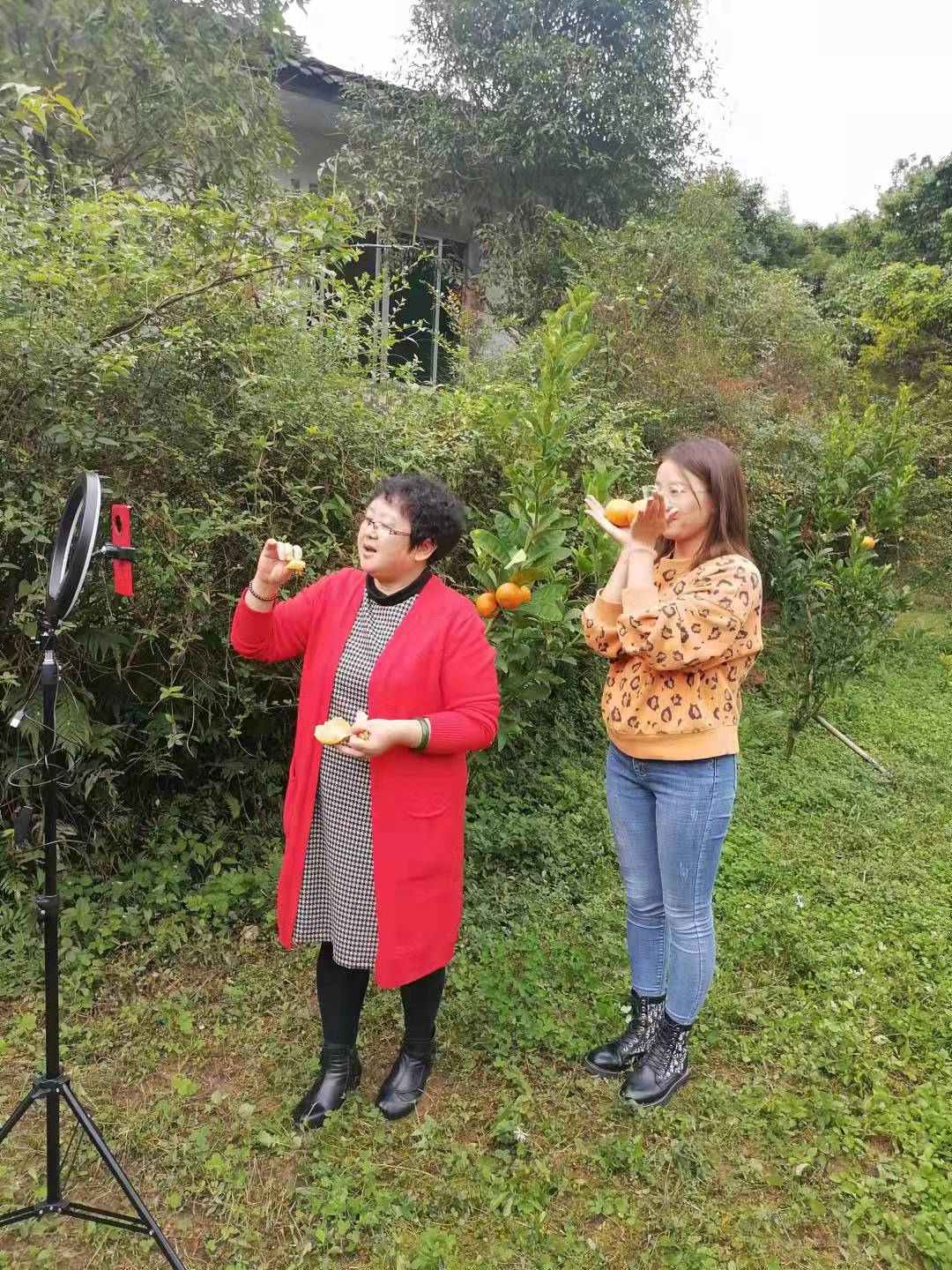 兔养殖带动脱贫攻坚,30万只肉兔养殖助力脱贫