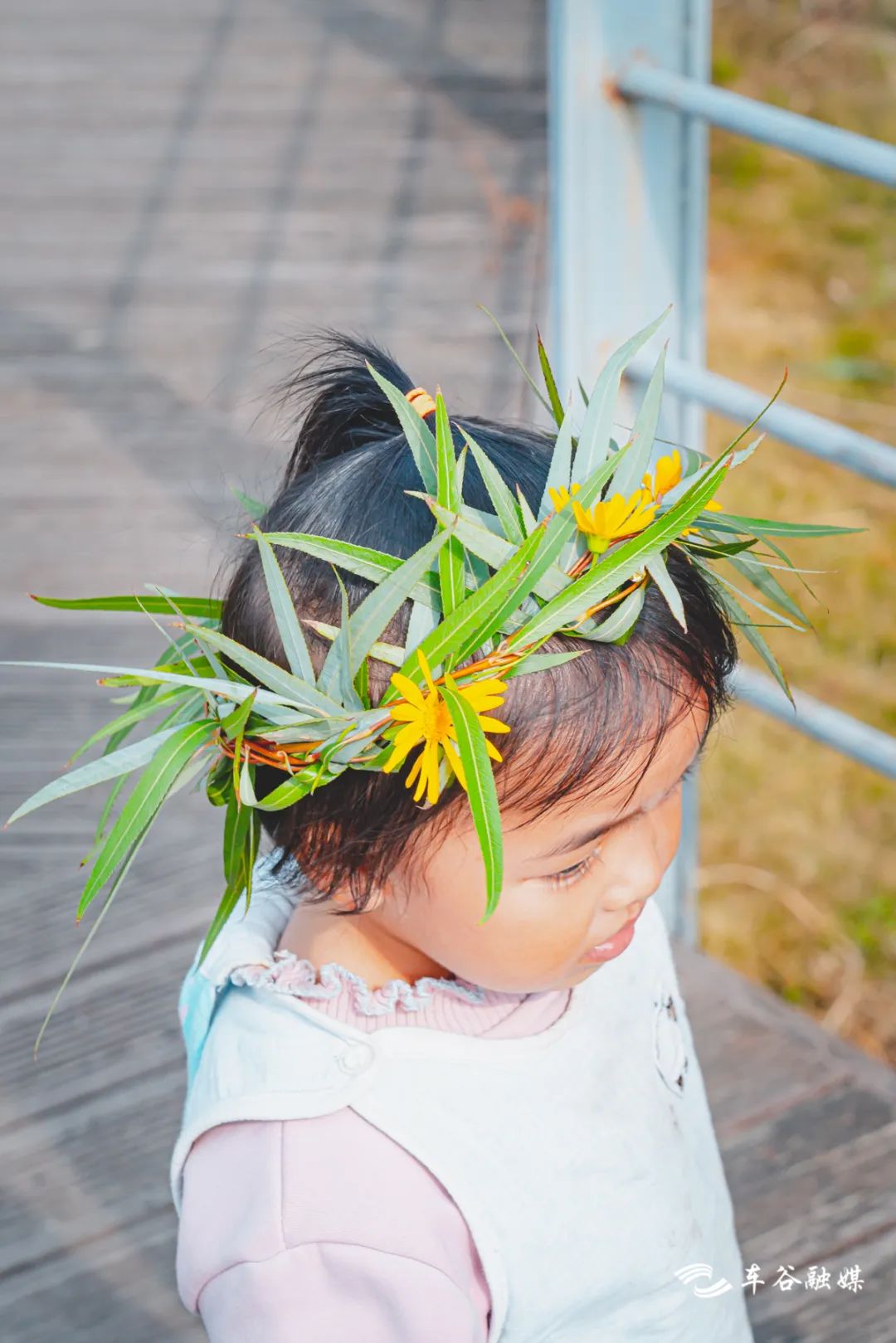 秋日暖阳骑行绿道,骑车绕城绿道值得打卡的推荐