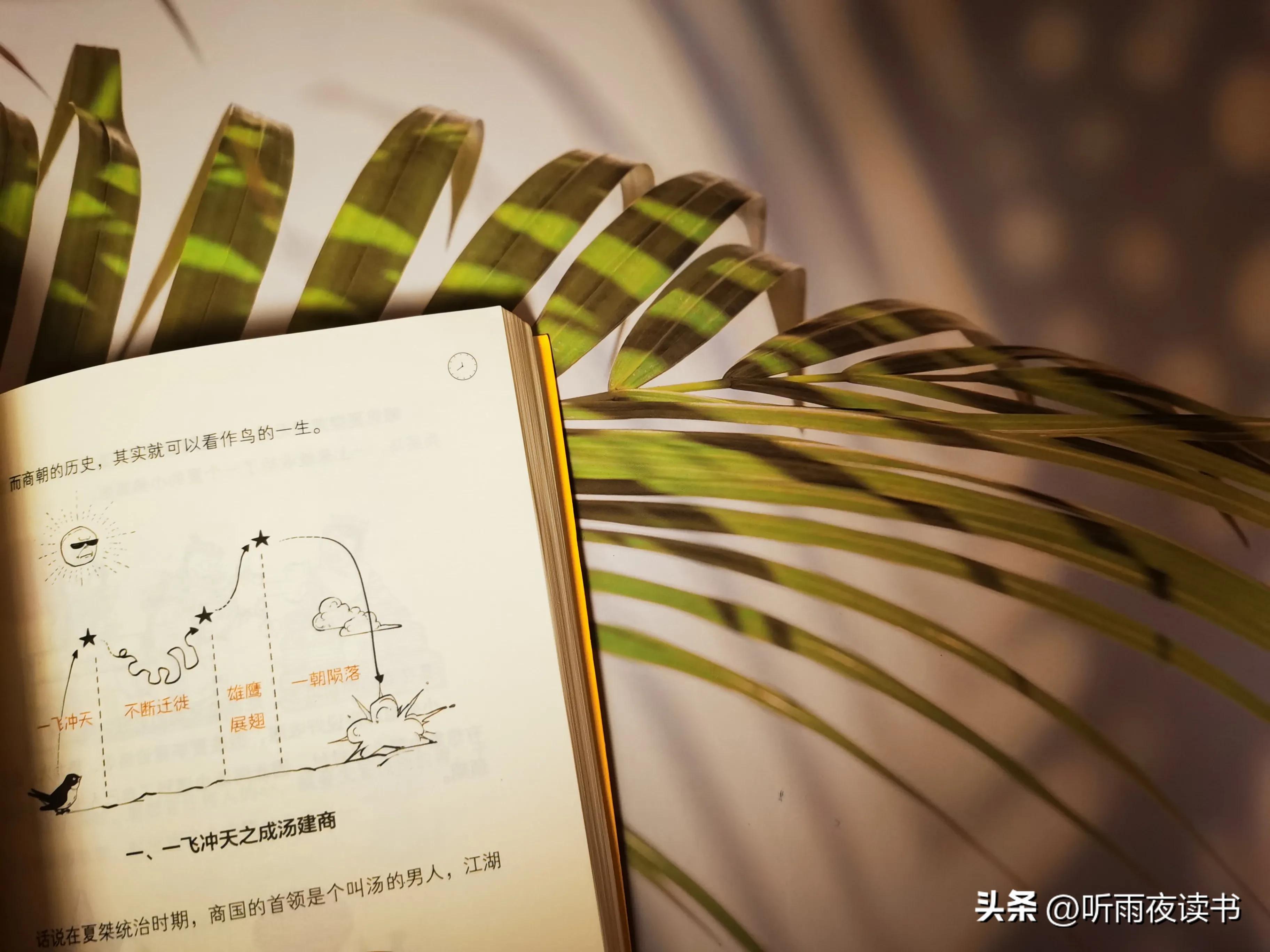 混子出手果然不凡，这本历史漫画嘎嘎好看