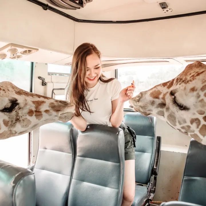 泰国曼谷旅游必去十大景区,泰国野生动物园亲子游