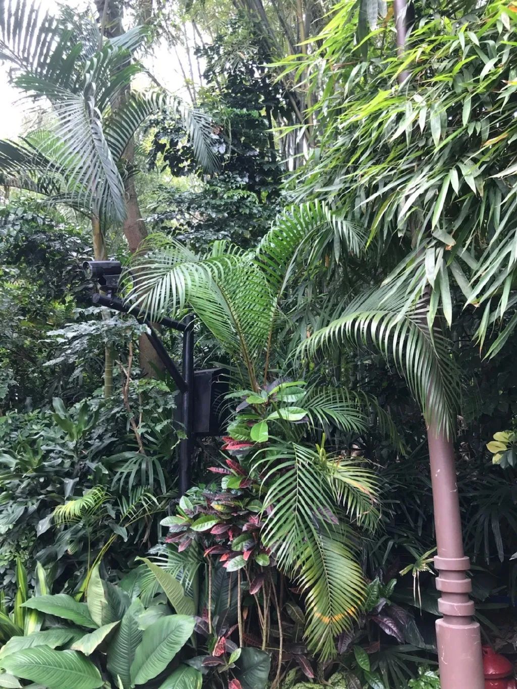 那些网红造假的后果 (造假的网红是真的吗)