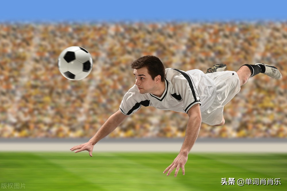 有言有味说单词,有言有味