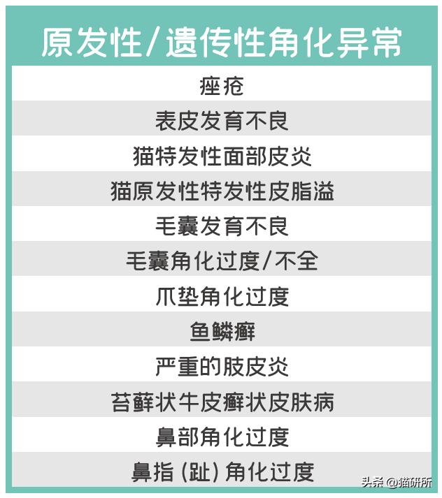 猫咪有皮屑是怎么回事,猫咪有轻微皮屑怎么回事