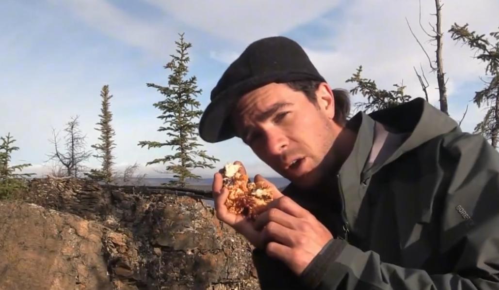 100天挑战荒野赢100万美元,荒野100天冠军