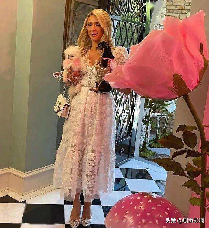 涓夋鎮斿灏忚,涓夋鎮斿