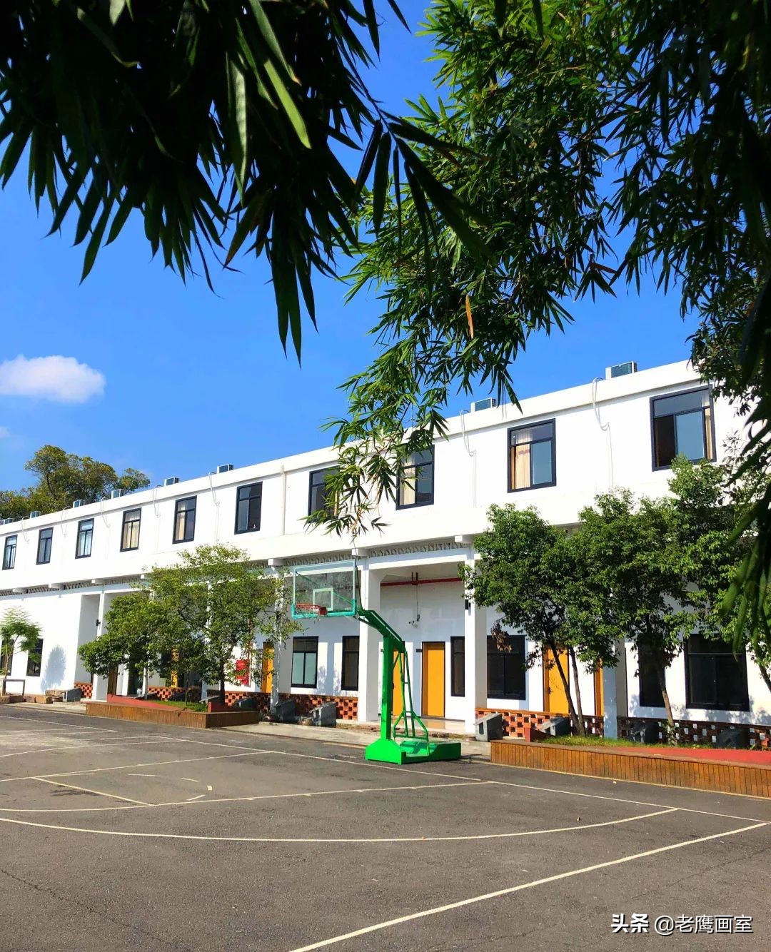 老鹰画室精品班和进阶班,成都老鹰画室和成都艺考画室