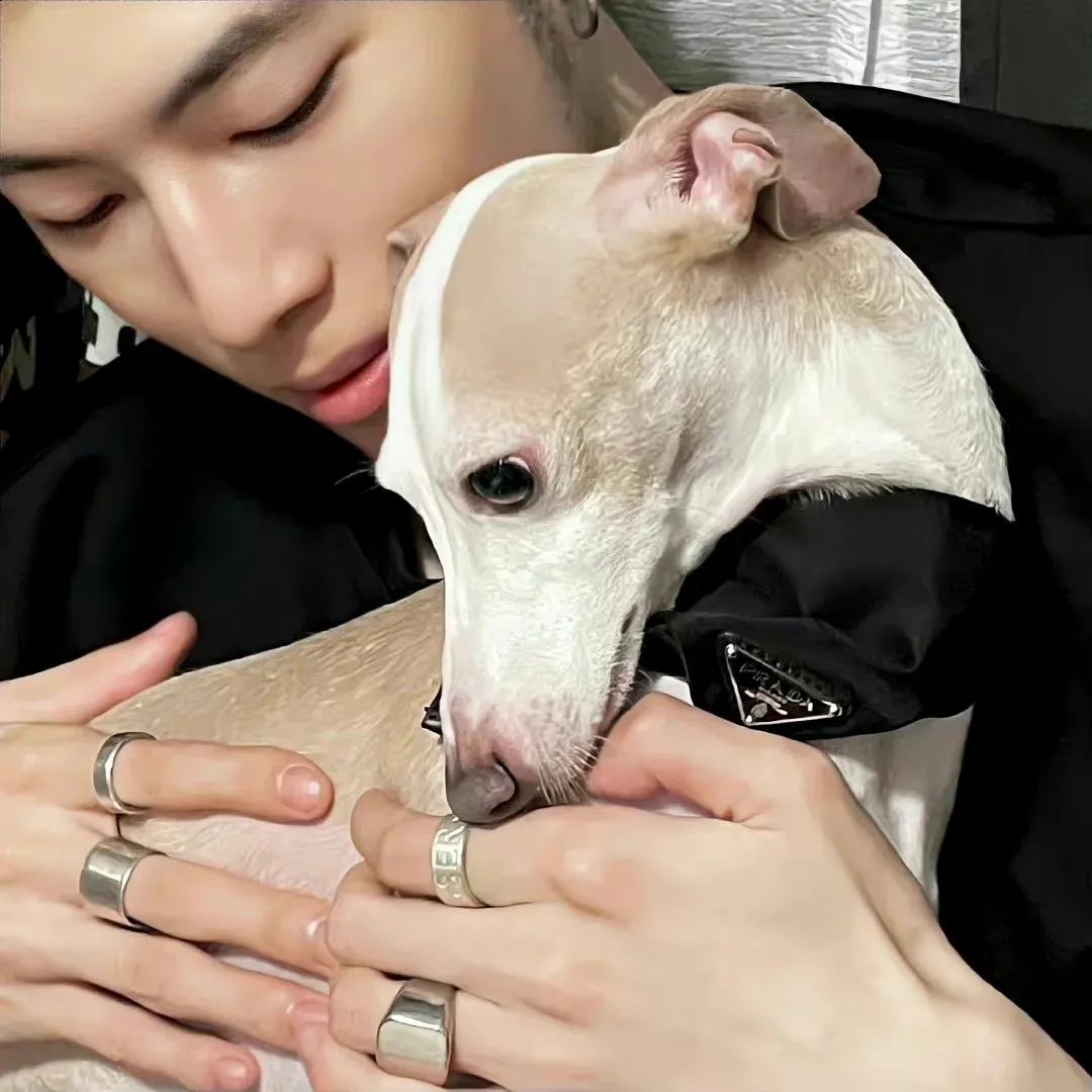 可爱的头像好看的头像,头像一大波好看的头像来啦