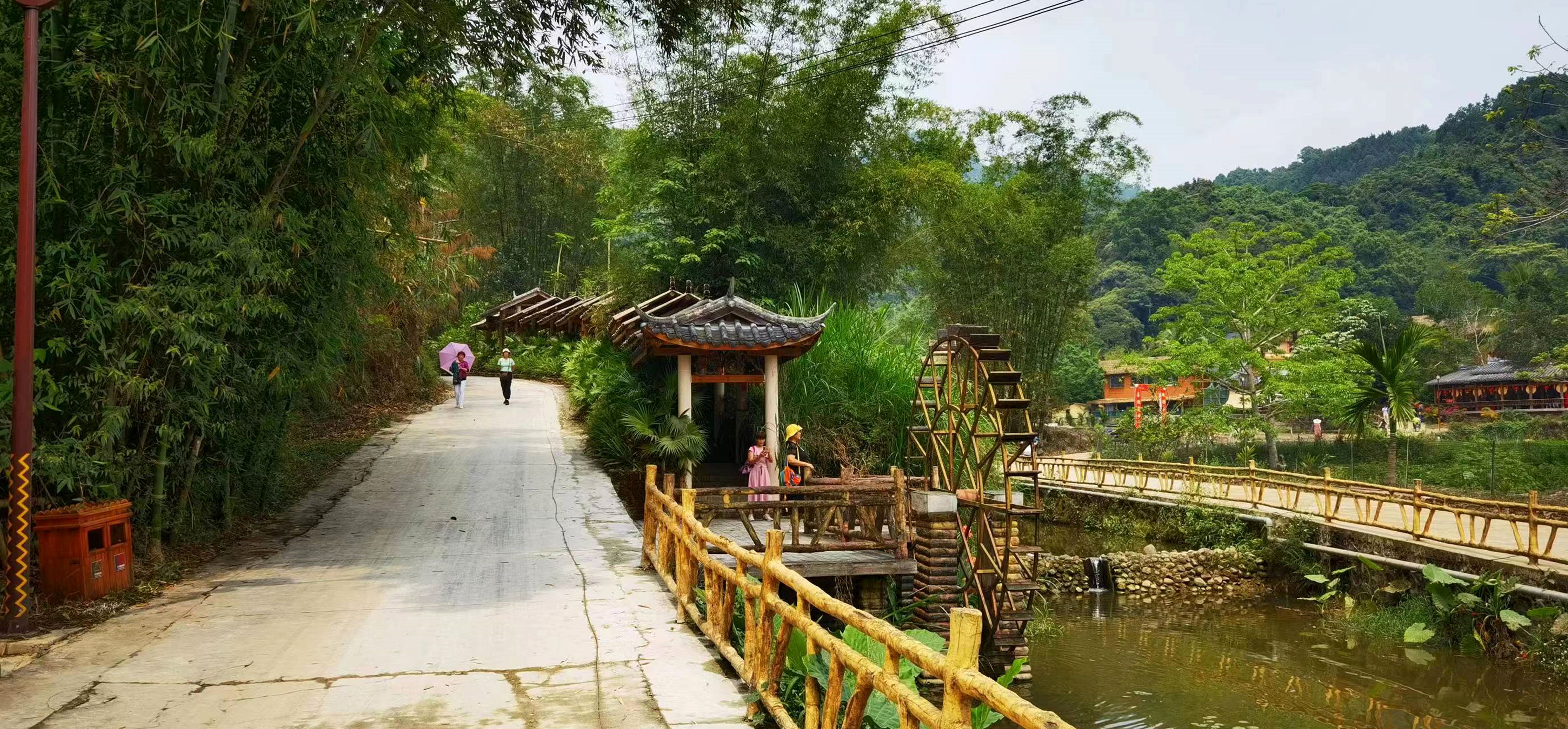 深山黎村奔“富”记：种“致富茶”、吃“旅游饭”，乡村振兴路越走越宽