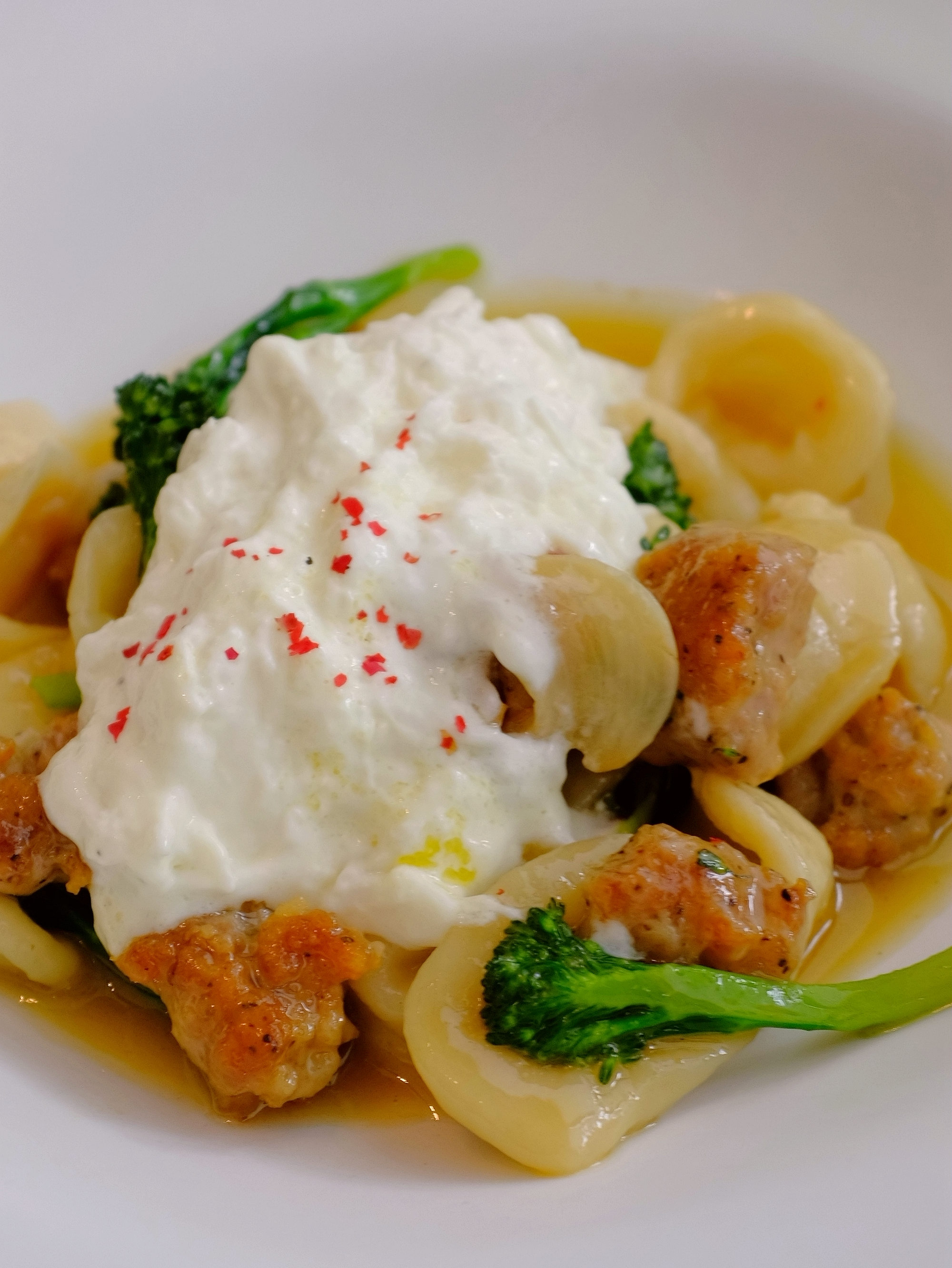 他帮她烧了一顿饭她便拥有了整个罗马