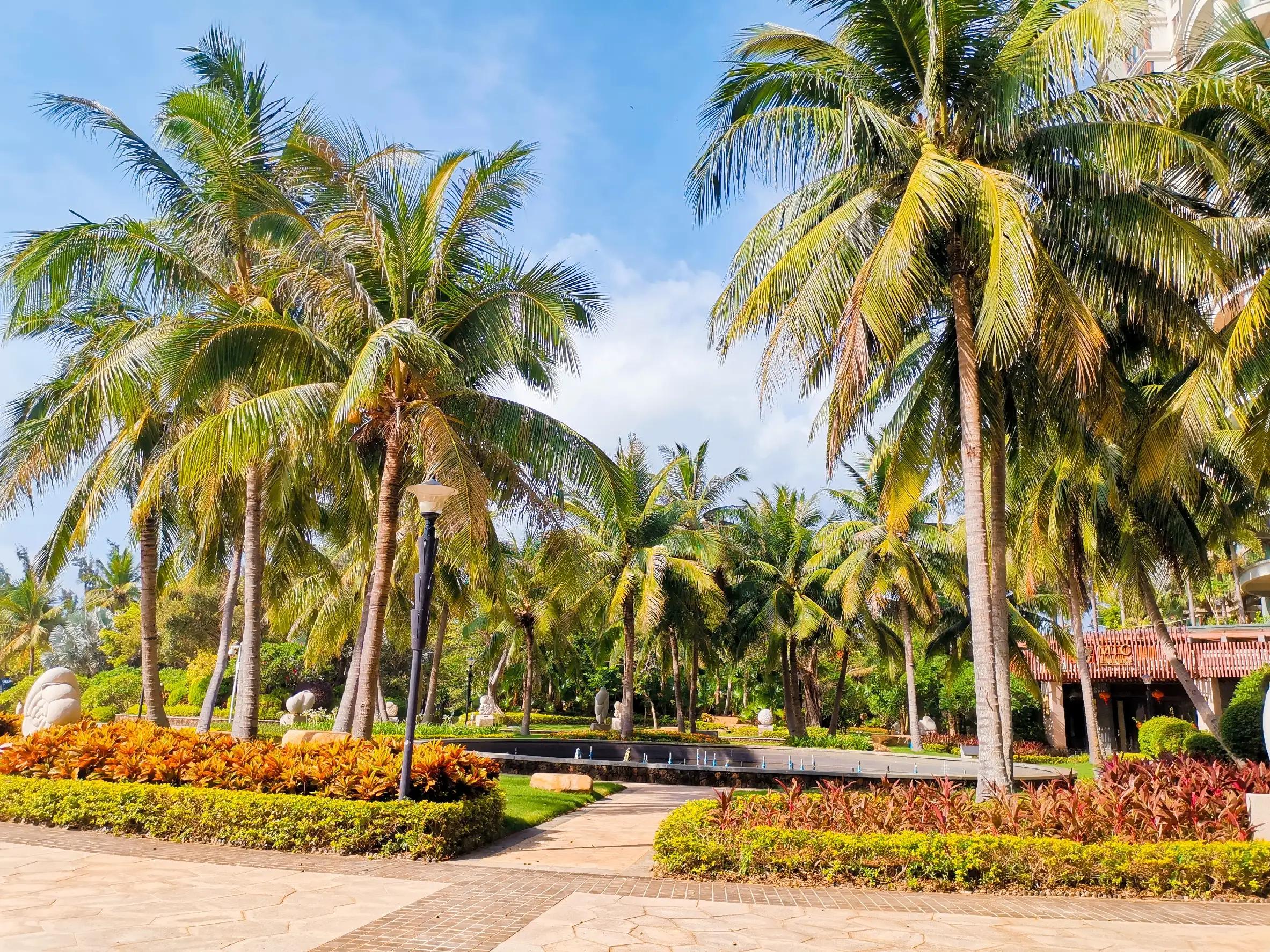 兴隆热带植物园攻略,兴隆热带植物园一日游