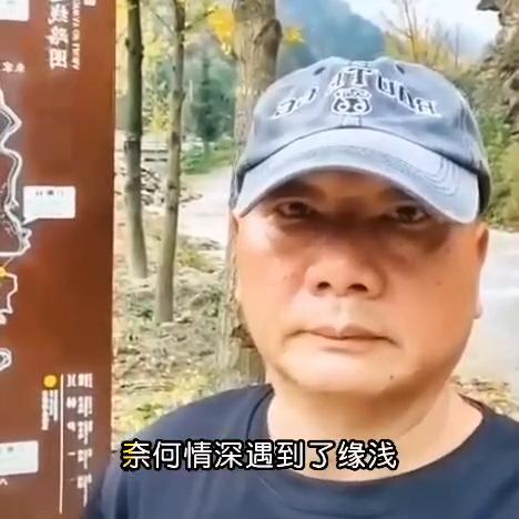 情感电视剧连续剧免费看,情感电台