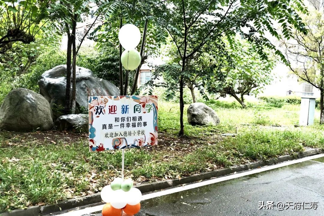 仁寿德培小学的教学特色是什么,仁寿德培小学