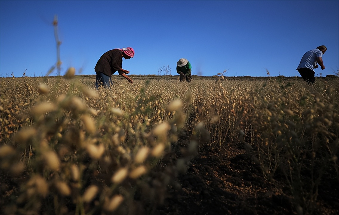 好原料造就好味道团购,良品铺子好食材造就好味道