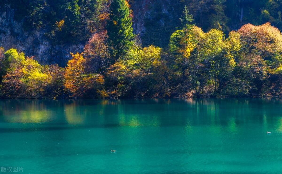 九寨沟什么时候去旅游最合适,现在还能去九寨沟旅游吗最佳时间