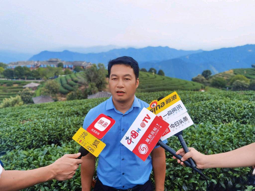 三江侗族景区,三江县黄金产茶区新闻