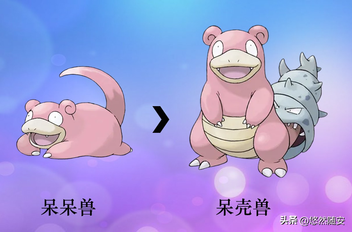 宝可梦所有御三家进化形态,宝可梦小火狐进化形态