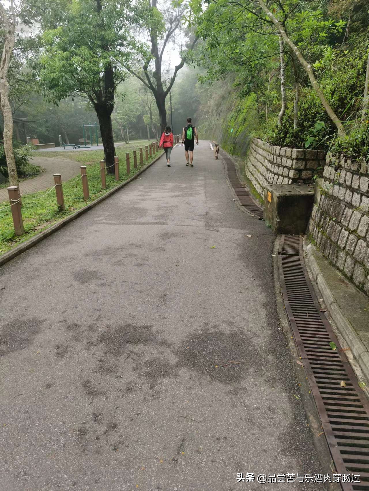 香港九龙广场旅游攻略,香港旺角自由行旅游攻略