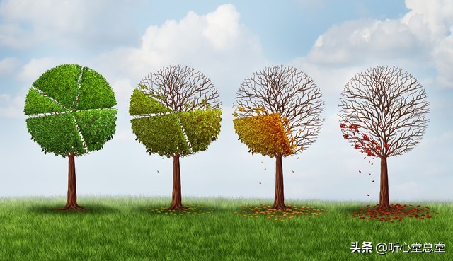 如何成为“国际郑”，城镇化率说明一切