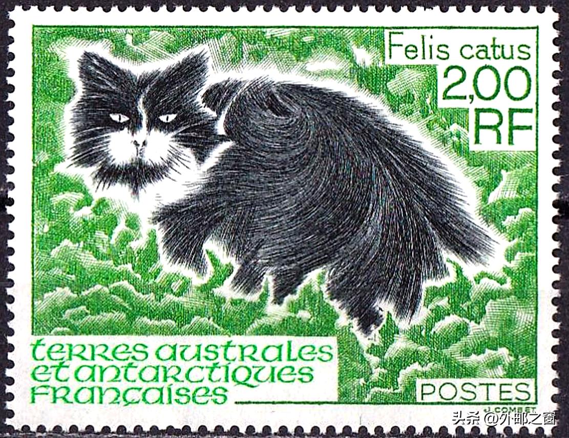 听说过吗?这些猫为邮局打工,还发工资!