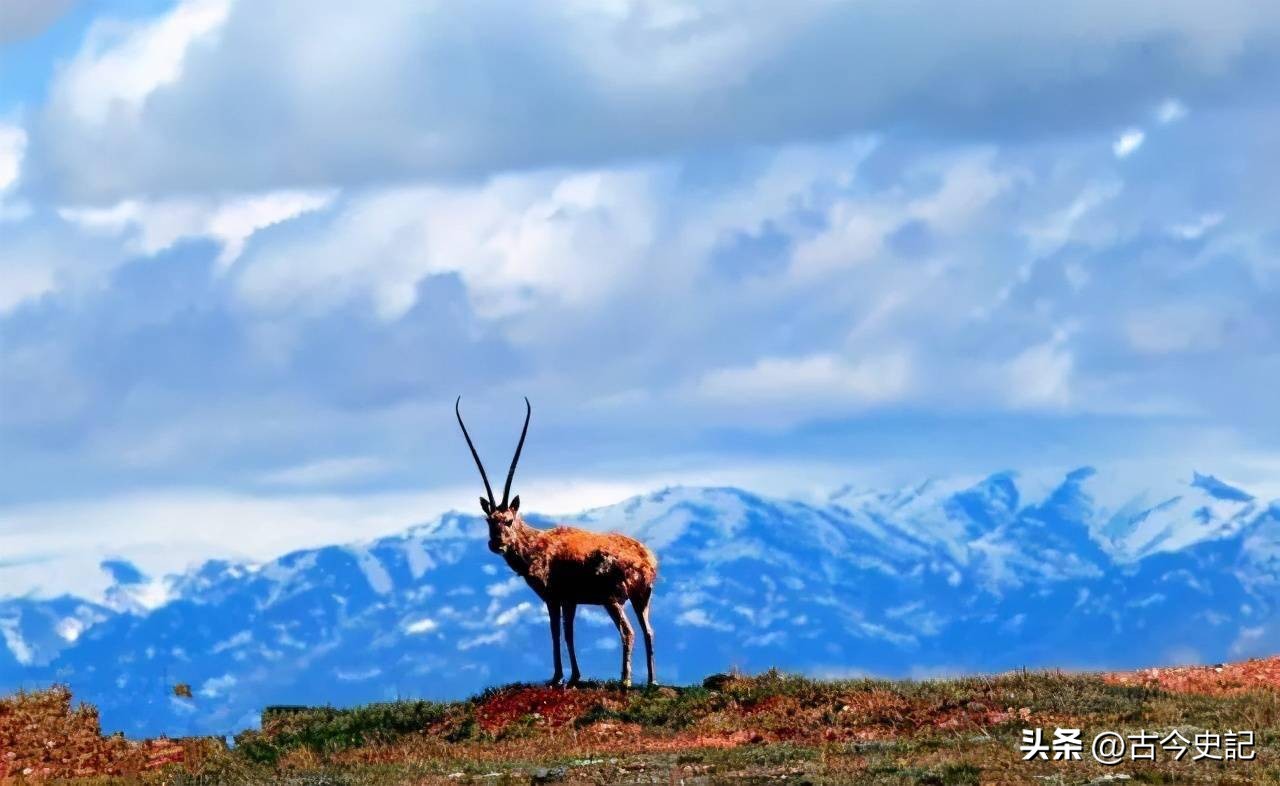 带你了解神秘的青海,青海省冷知识