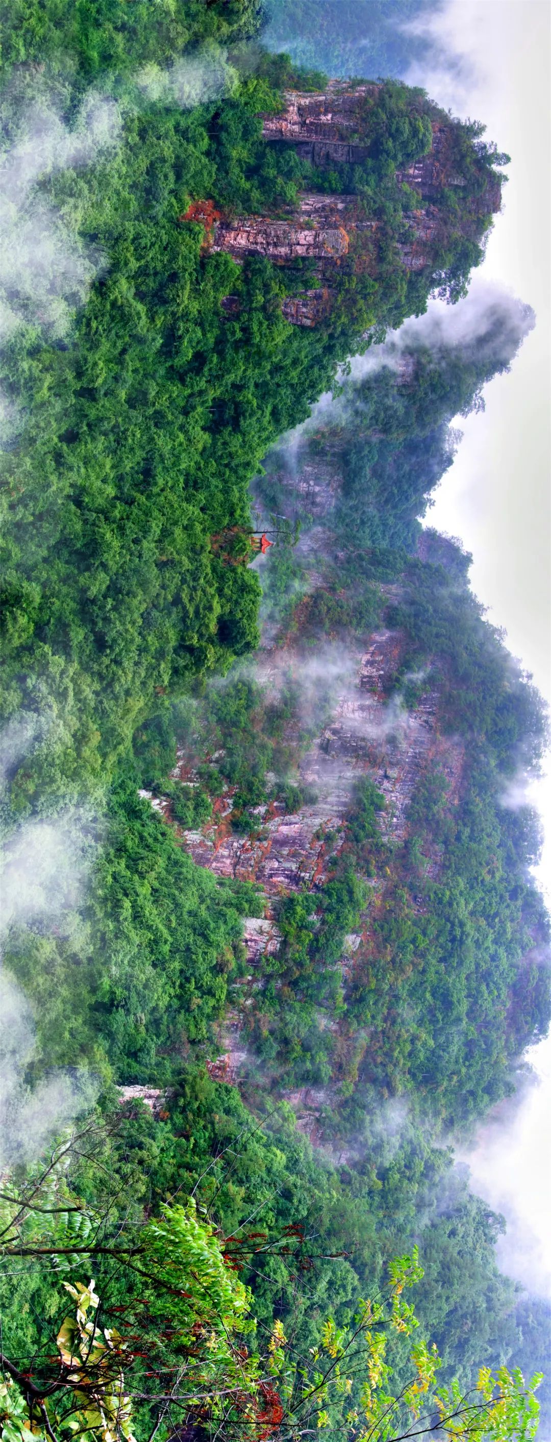 自在桂平,自在宜州