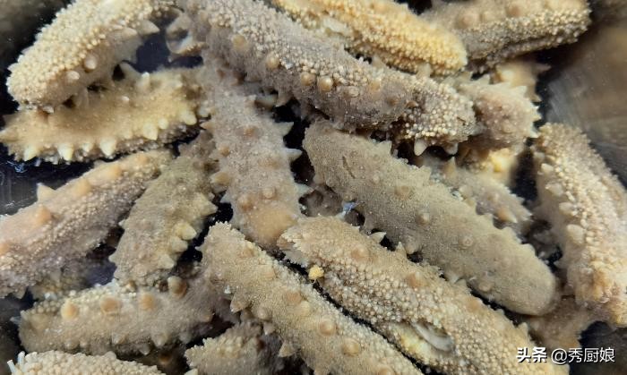 海参泡发的正确方法粤语,冰冻的海参需要用水泡么