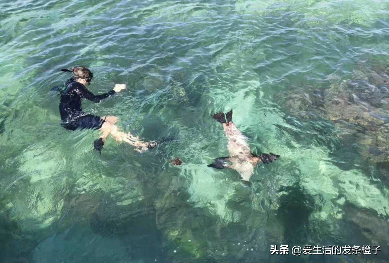 一路向北全程1980公里,西澳自驾游最佳路线图