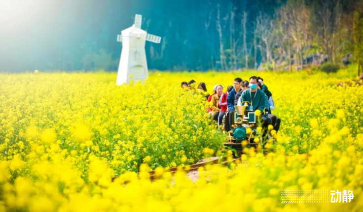 徐霞客旅游打卡地,贵州徐霞客旅游攻略