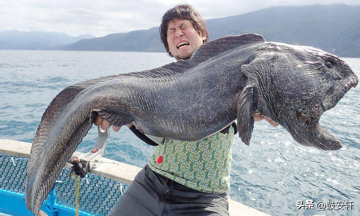 日本福岛核泄漏原因,日本福岛核泄漏是如何发生的