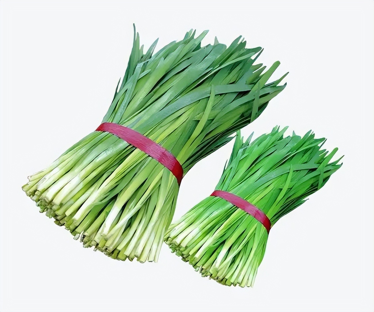 韭菜对男性有什么帮助,韭菜对男人的好处怎么吃